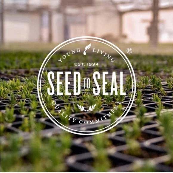 Young Living Lemon essential oil 15ml - Picture 6 of 7